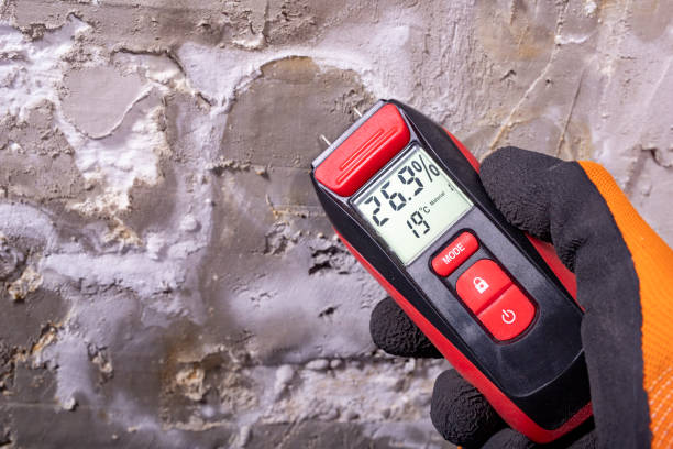 Mold Testing and Removal in Country Walk, FL