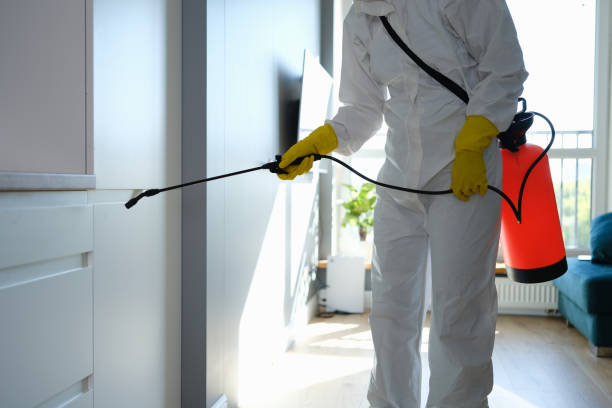 Best Toxic Mold Removal  in Country Walk, FL