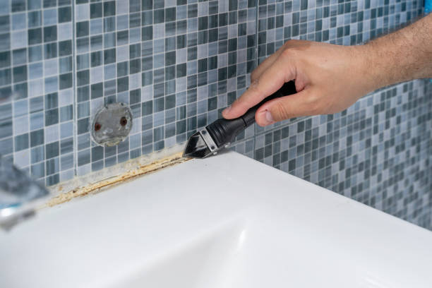 Best Residential Mold Removal  in Country Walk, FL